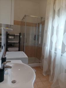 W łazience znajduje się prysznic i biała umywalka. w obiekcie Rome Apartment D'Amata w Ciampino