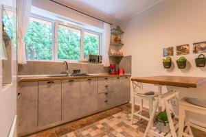 une cuisine avec un comptoir, un évier et une fenêtre dans l'établissement Casa Nostalgia, à Poiana Brasov