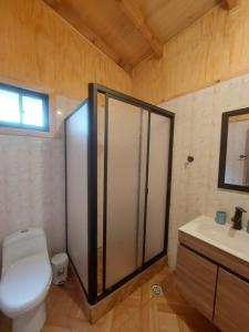 a bathroom with a shower and a toilet and a sink at La Posada in Neltume