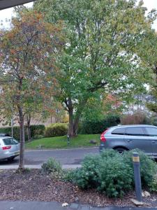 eine Straße mit Autos auf einem Parkplatz mit Bäumen in der Unterkunft Superb 2 bedroom flat, sleeps 6 in Croydon