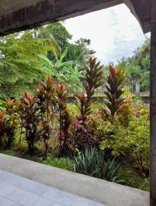 a view of a garden with trees and plants at Duma Hostel in Dumaguete