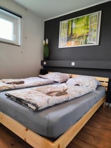 two beds in a room with a picture on the wall at Apartment Harzfeuer mit wunderbarem Ausblick und Schwimmbad in Braunlage