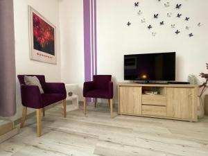 A television and/or entertainment centre at ABT Apartments Karoly