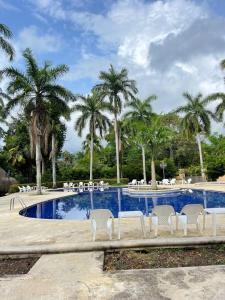 una piscina con sillas y palmeras en Finca Hotel Guadalupe, en Santa Fe de Antioquia