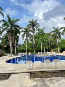 a swimming pool with chairs and palm trees at Finca Hotel Casa Bela in Santa Fe de Antioquia +108 photos