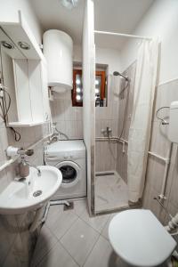 ein Badezimmer mit einem Waschbecken und einer Waschmaschine in der Unterkunft Apartman Petunija in Sjenica