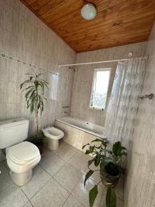 a bathroom with a toilet and a tub and a sink at Depto LA QUILMES in Concepción del Uruguay