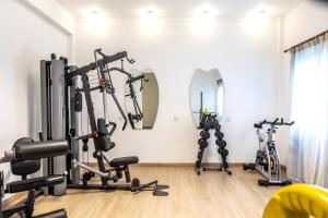 Fitness centrum a/nebo fitness zařízení v ubytování Forest Park Hotel
