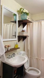 W łazience znajduje się umywalka, toaleta i lustro. w obiekcie El gran roble w mieście La Cumbrecita