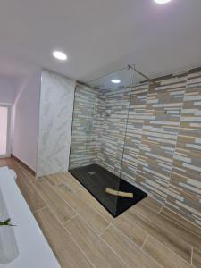 uma casa de banho com um chuveiro e uma cabina de vidro em Alojamientos Agaete Pueblo Nº3, Nº4, Nº5, Nº6 em Agaete