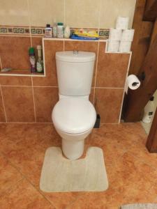 a white toilet in a bathroom with a rug at Location Chambres Le Panorama - Aéroport Genève - Pays de Gex in Chevry