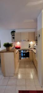 Een keuken of kitchenette bij Silberblick Ferienwohnungen - aussergewöhnlich & familienfreundlich