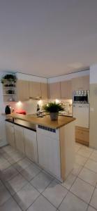 Een keuken of kitchenette bij Silberblick Ferienwohnungen - aussergewöhnlich & familienfreundlich