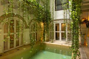 Bazén v ubytování Leones de Alba Hotel Boutique nebo v jeho okolí