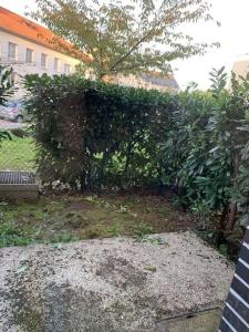 Ein Garten an der Unterkunft Superbe appartement avec terrasse en Résidence privée