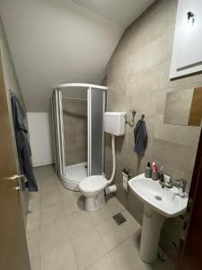 y baño con ducha, aseo y lavamanos. en Despot apartmani, en Mladenovac