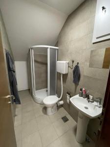 a bathroom with a shower and a toilet and a sink at Despot apartmani in Mladenovac +7 photos