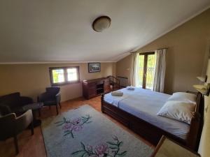 een slaapkamer met een bed, een bureau en een stoel bij Villa Deloik Ante`s Hill House in Budva