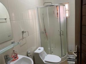 a bathroom with a shower and a toilet and a sink at Cheerful 3 bedroom bungalow, Fatty Boulevard in Madina Sey Kunda