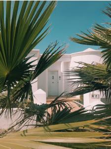a white house with palm trees in front of it at Mision Costa in Corralejo