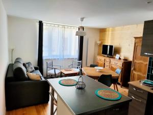 Televízia a/alebo spoločenská miestnosť v ubytovaní Appartement T1bis tout confort