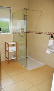 a bathroom with a shower and a sink at Twin Lake View - Bungalow in Pontoon in Foxford