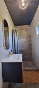 ein Bad mit einem Waschbecken und einer Dusche in der Unterkunft Domki La Bella 3 in Aleksandria