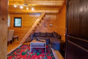 a living room with a couch in a log cabin at Zlatibor Brvnare Zakos in Zlatibor