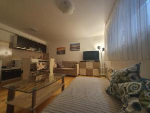 TV a/nebo společenská místnost v ubytování Mila Apartment