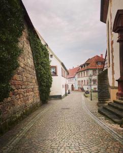 a cobblestone street in a town with buildings at Ferienwohnung am Berg in Bad Bergzabern