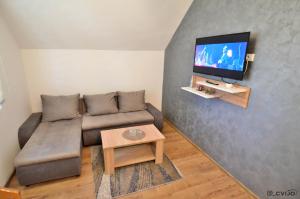 sala de estar con sofá y TV de pantalla plana en Apartman Sofija, en Kaludjerske Bare