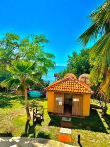 a small house with a palm tree in a field at 2-BR Modern Oceanfront Apt Steps from Playa Sucia in Cabo Rojo