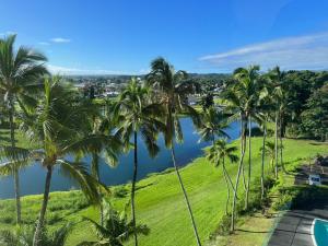 um grupo de palmeiras ao lado de uma massa de água em Stunning Views Best location in Hilo 2BR modern Condo em Hilo