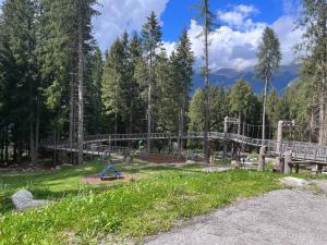 Príroda v okolí apartmánu