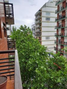 a tree on the balcony of a building at Departamento 2 amb con 1 dormitorio por Plaza Mitre in Mar del Plata