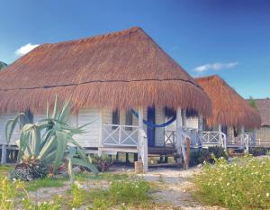 a hut with a thatched roof and a bench in front at Cabanas ecoturisticas Costa Maya in Mahahual