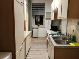 una cucina con lavandino e piano cottura di Convenient Shared Apartment - near Danube & Millenium Tower a Vienna