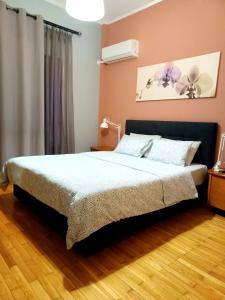 ein Schlafzimmer mit einem Bett in einem Zimmer in der Unterkunft Central Apartment Ioannina in Ioannina