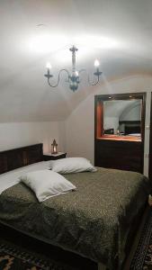 a bedroom with a bed with a mirror and a chandelier at Ξενώνας Άνθεμις in Levidi