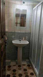 a bathroom with a sink and a mirror and a shower at Ξενώνας Άνθεμις in Levidi