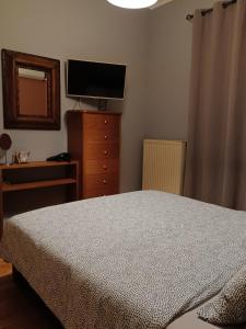 - une chambre avec un lit et une télévision sur une commode dans l'établissement Central Apartment Ioannina, à Ioannina