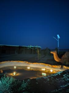 a night view of a pool of water with lights at Café restaurante shelter calm life in Bou Dib