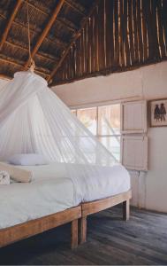 a bedroom with a bed with a mosquito net at Cabanas ecoturisticas Costa Maya in Mahahual