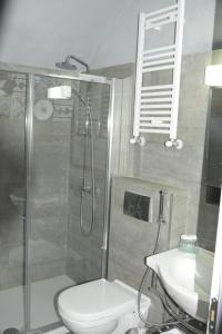 a bathroom with a shower and a toilet and a sink at Avgonima Chios Spitakia Cottages in Avgonyma