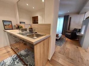 uma cozinha com um lavatório e uma sala de estar em Boigne Sweet Suite em Chambéry