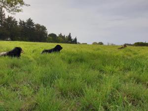 Fotografie z fotogalerie ubytování Chambres d'hôtes dans propriété rurale v destinaci Béziers