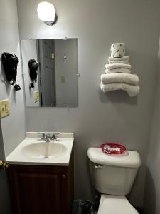 a bathroom with a sink and a toilet and a mirror at Relax Inn - Saginaw in Saginaw