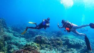 two people scuba diving over a coral reef at La Tortue Diving Resort Dauin in Dauin