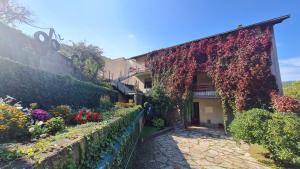 Κήπος έξω από το Rooms "Nada Zunic"