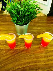 três copos de sumo de laranja e um vaso de planta em Hotel Ronda Valley em Ronda
